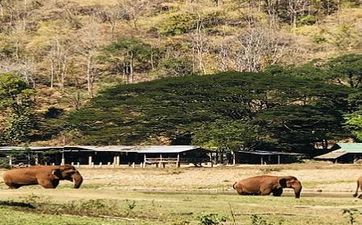 高大上的公司名字大全 大气有内涵的公司名字