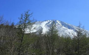 今日五行穿衣服颜色 2023年11月6日五行穿衣颜色搭配 