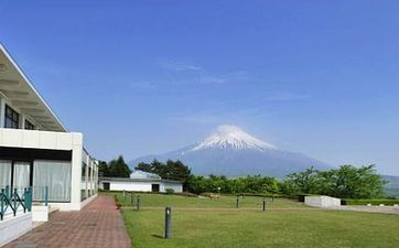 82年属狗今年适合投资吗 属狗人2024年财运如何