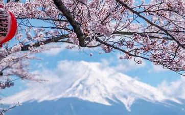 五行属土最吉利的数字相关内容