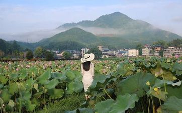 茶文化小常识：茶叶的保质期一般是多久