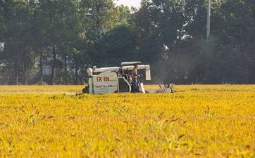 辟邪镇宅之物首选什么 首选镇宅符