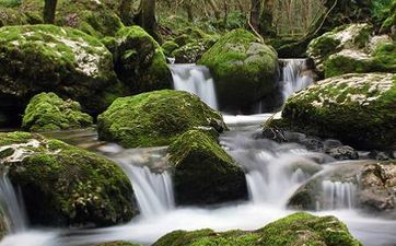 2024寒食节和清明节的关系 寒食节与清明节差几天